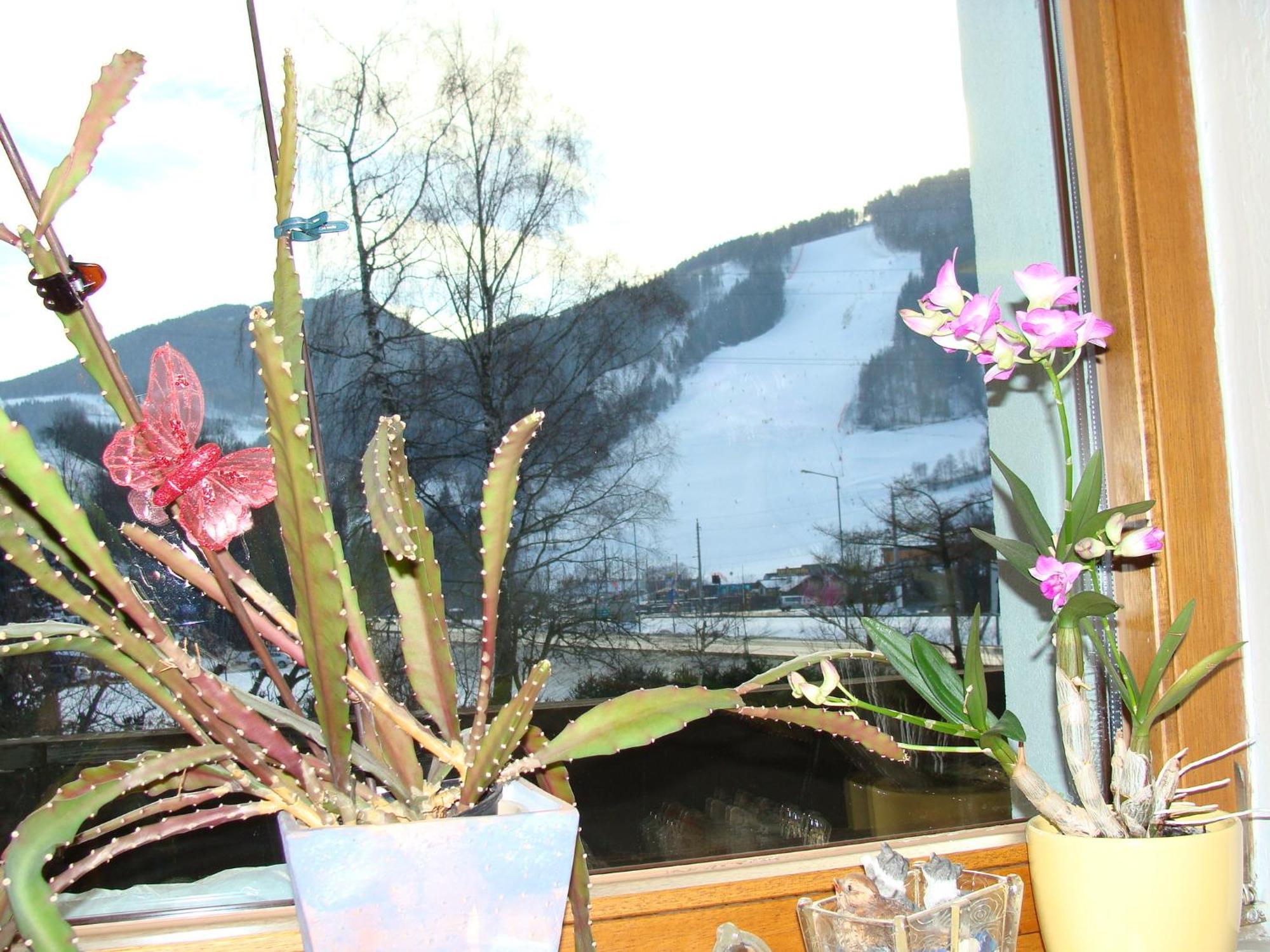 Appartement-Reiteralm Schladming Extérieur photo